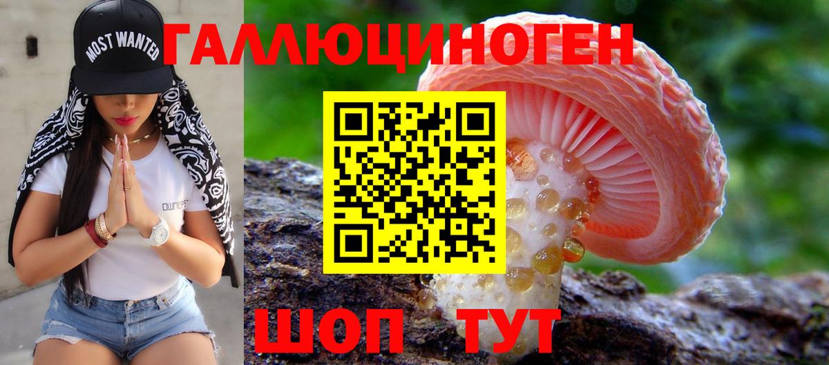 Галлюциногенные грибы Psilocybe  Вход с VPN  Будённовск  Псилоцибиновые грибы MAGIC MUSHROOMS 